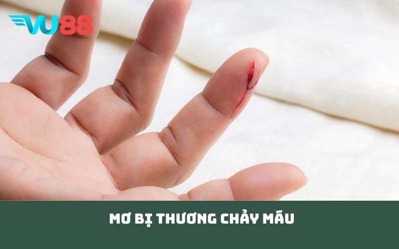Mơ bị thương chảy máu