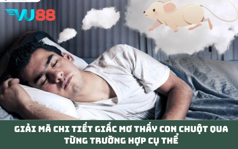 Giải mã chi tiết giấc Mơ thấy con chuột qua từng trường hợp cụ thể