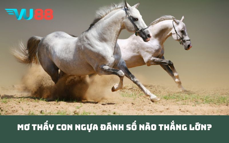 Mơ thấy con ngựa đánh số nào thắng lớn?
