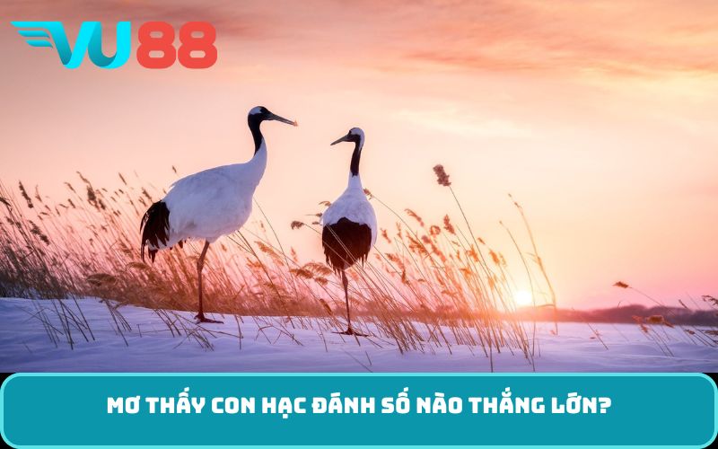 Mơ thấy con hạc đánh số nào thắng lớn?