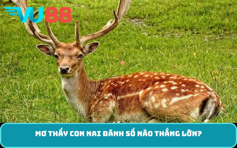 Mơ thấy con nai đánh số nào thắng lớn?