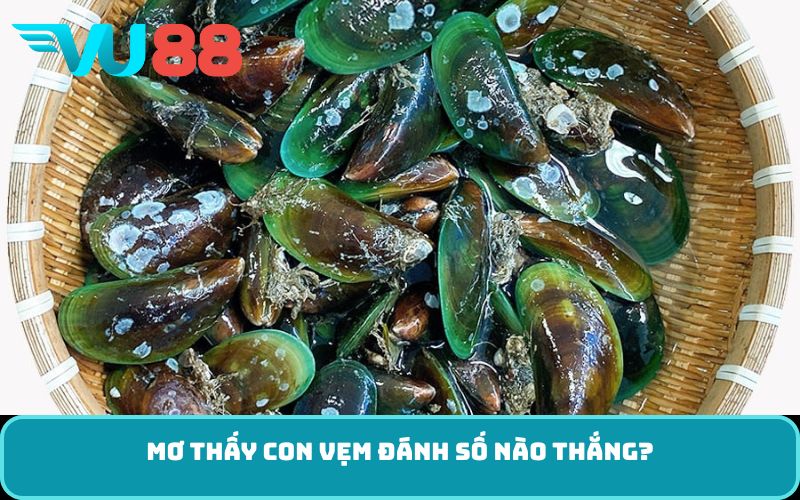 Mơ thấy con vẹm đánh số nào thắng?