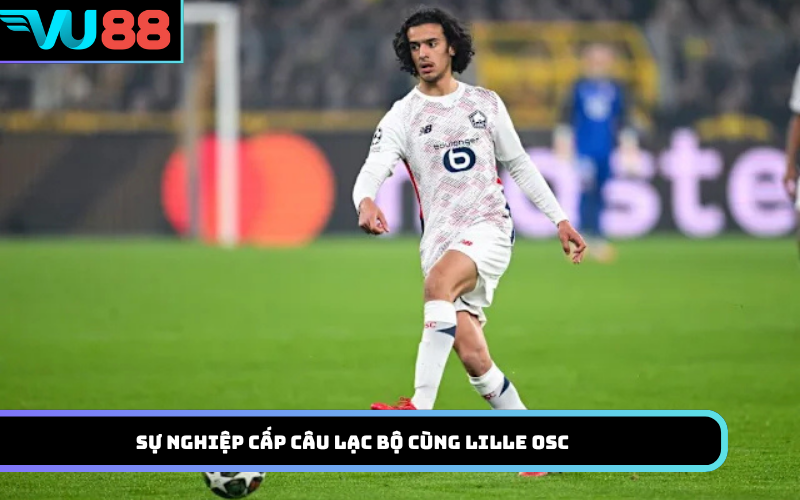 Sự nghiệp cấp câu lạc bộ cùng Lille OSC