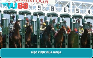 mẹo cược đua ngựa
