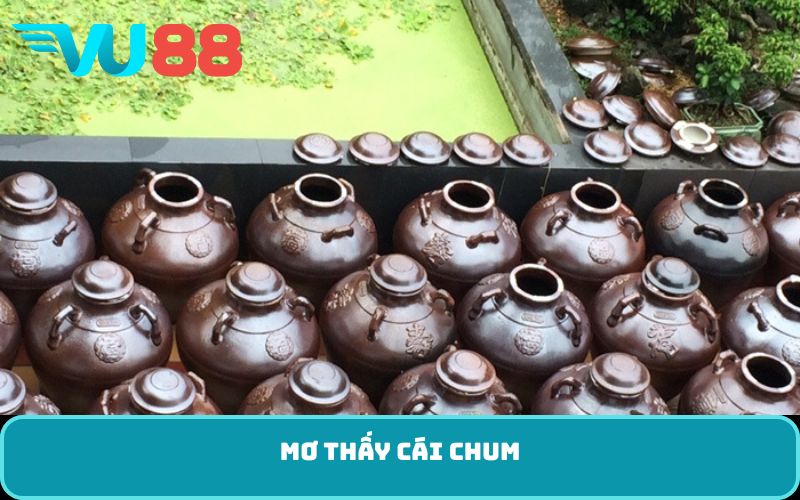 mơ thấy cái chum