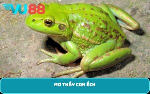 mơ thấy con ếch